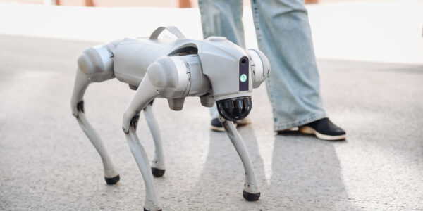 grey robot dog in city street
